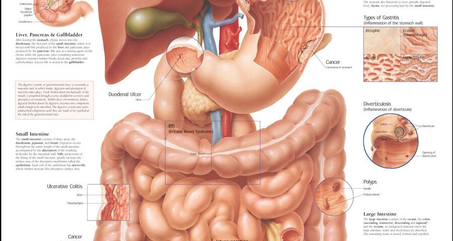 stomach doctor jalandhar gall bladder surgeon jalandhar